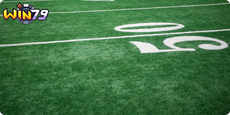 Tận Dụng Kèo Rung Trong Cá Cược Trực Tiếp